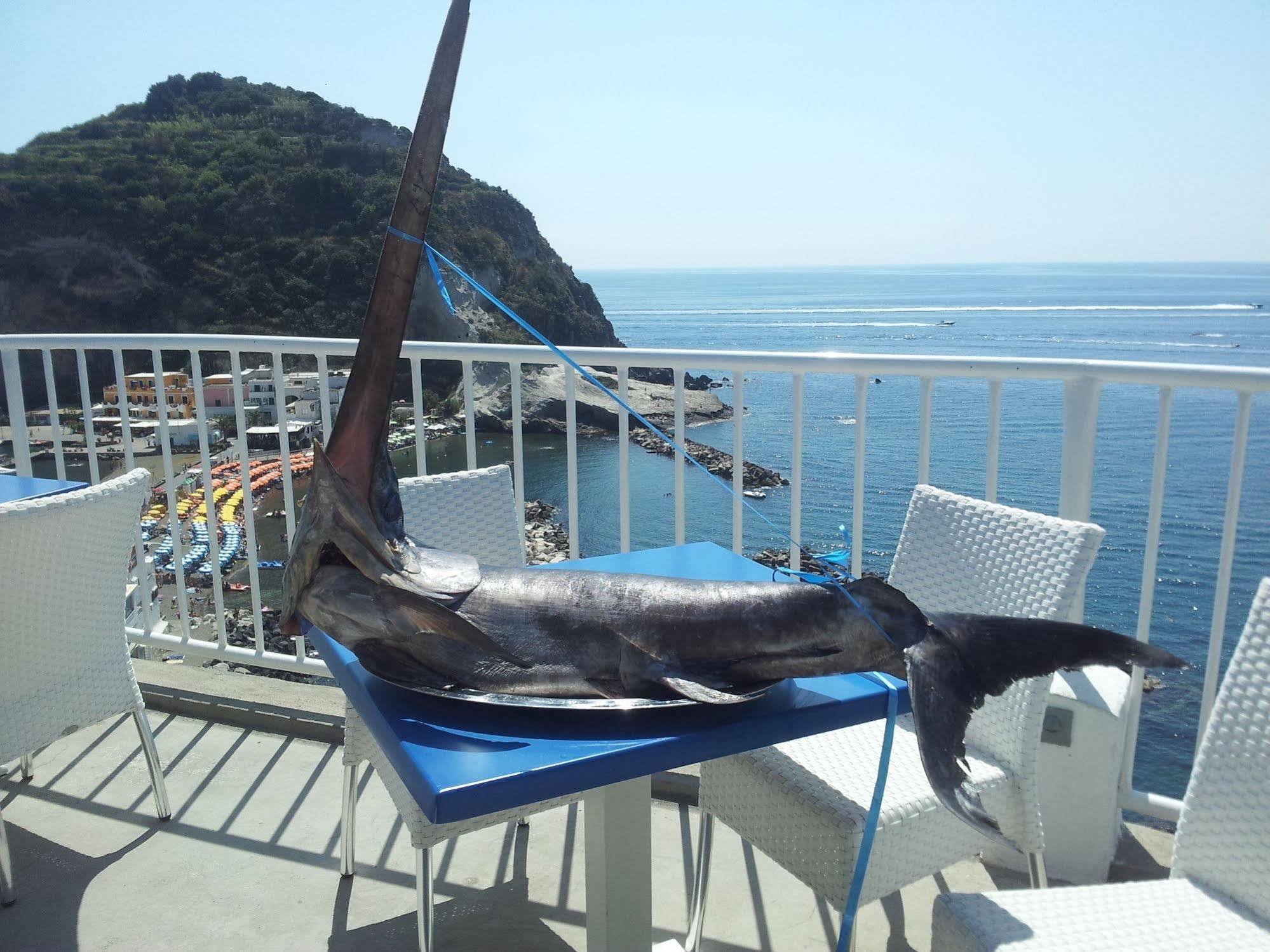 Hotel Villa Sirena Sant'Angelo  Kültér fotó